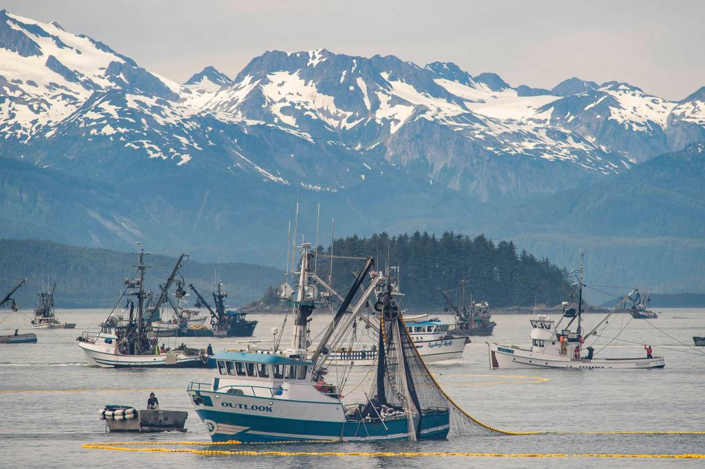 Seine fishermen work to catch chum salmon during a six-hour opening outside of Amalga Harbor. (Juneau Empire File)