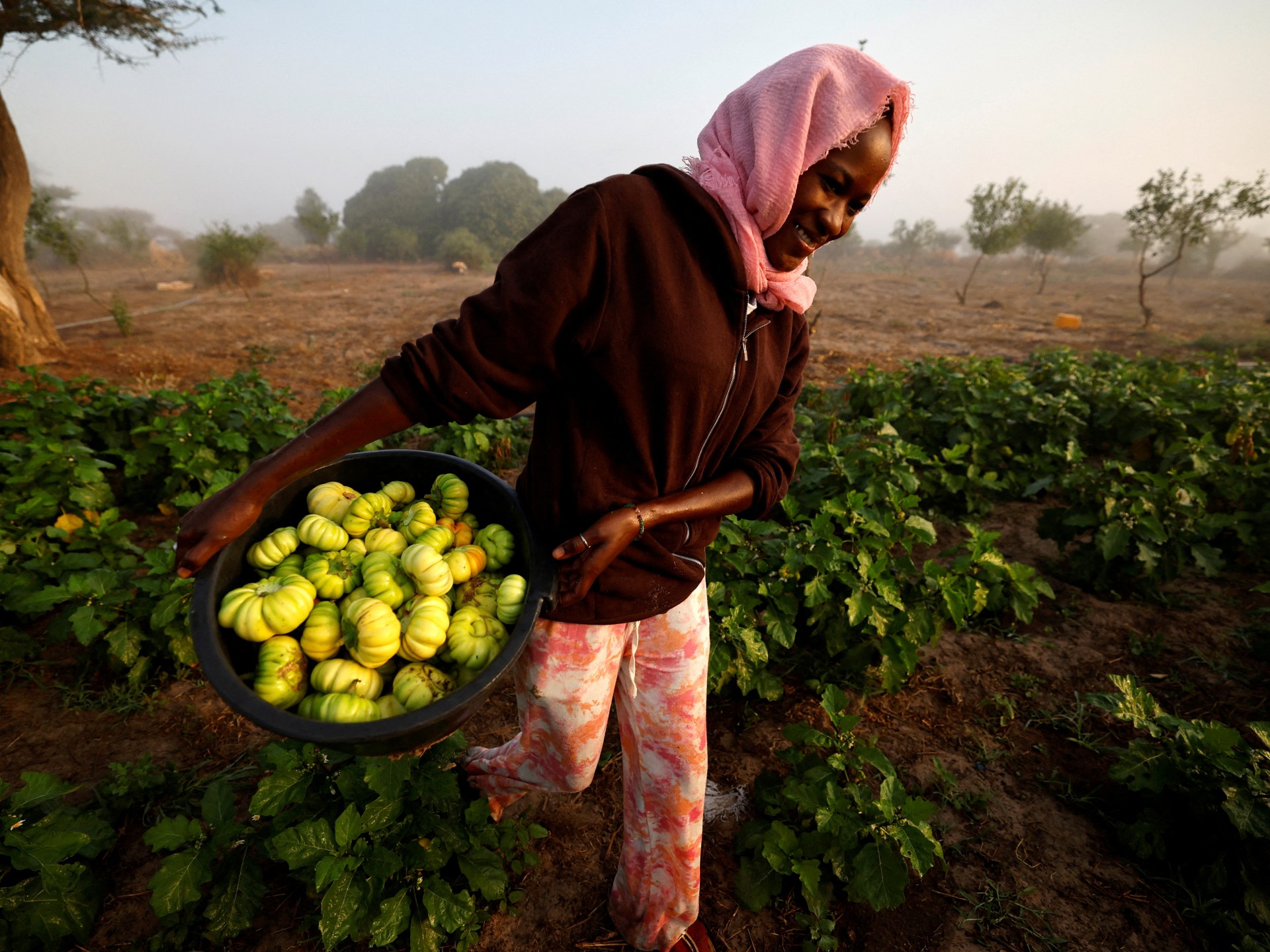Amid the fertiliser crisis, Africa has a chemical-free option: Agroecology | Agriculture
