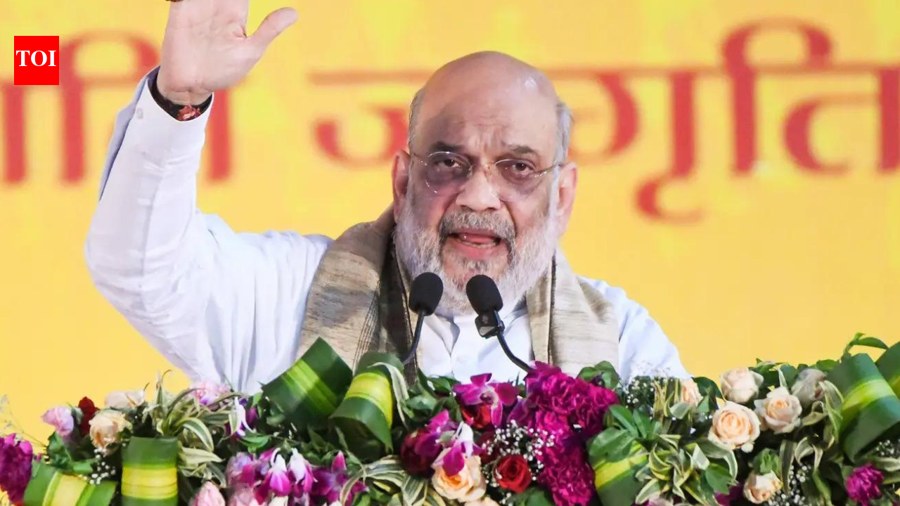 Amit Shah says panel on ‘artificial’ demographic change will examine need for new law | India News