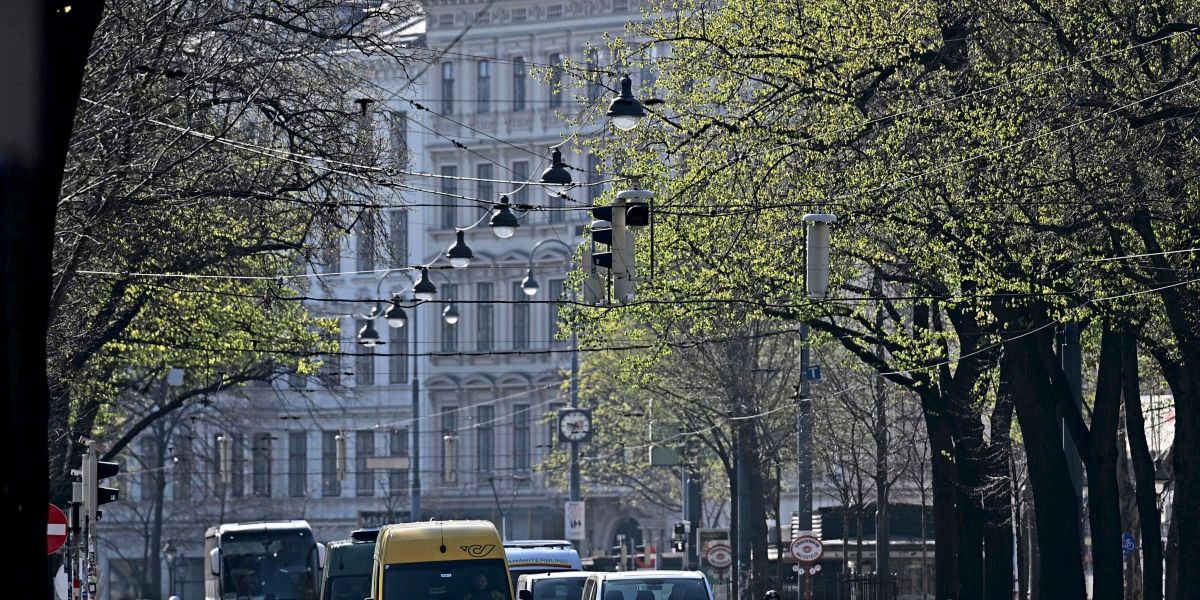 Anteil des motorisierten Individualverkehrs in Wien 2025 leicht gestiegen - Panorama
