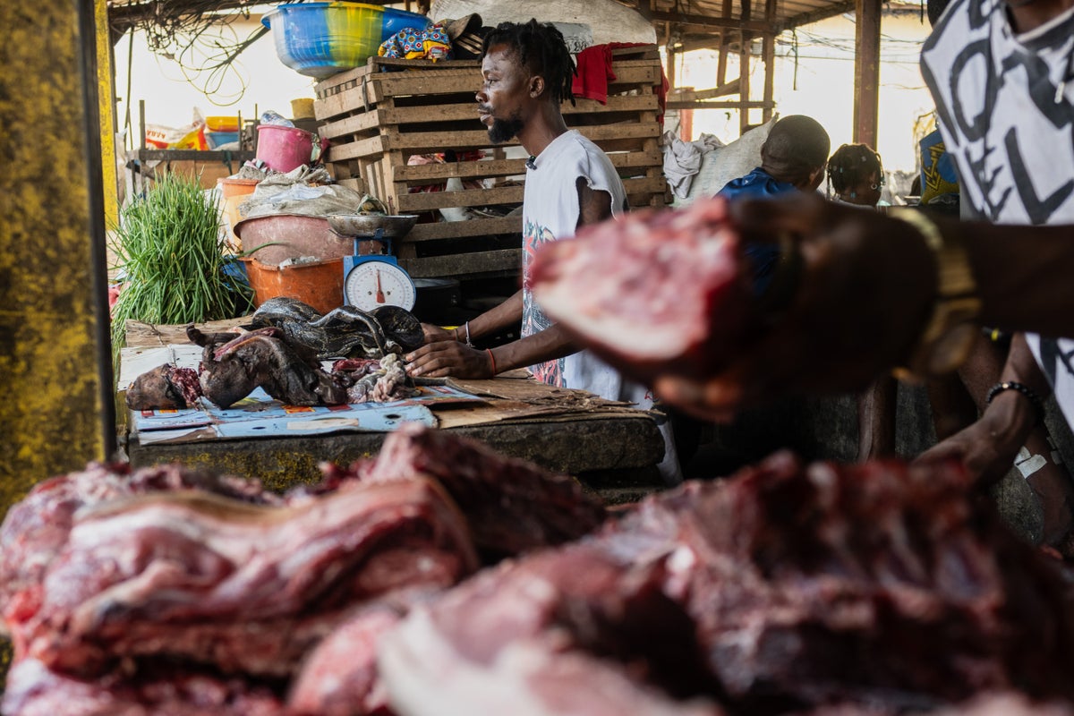 As Ebola scourges Congo, experts warn of link to the consumption of 'wild meat'