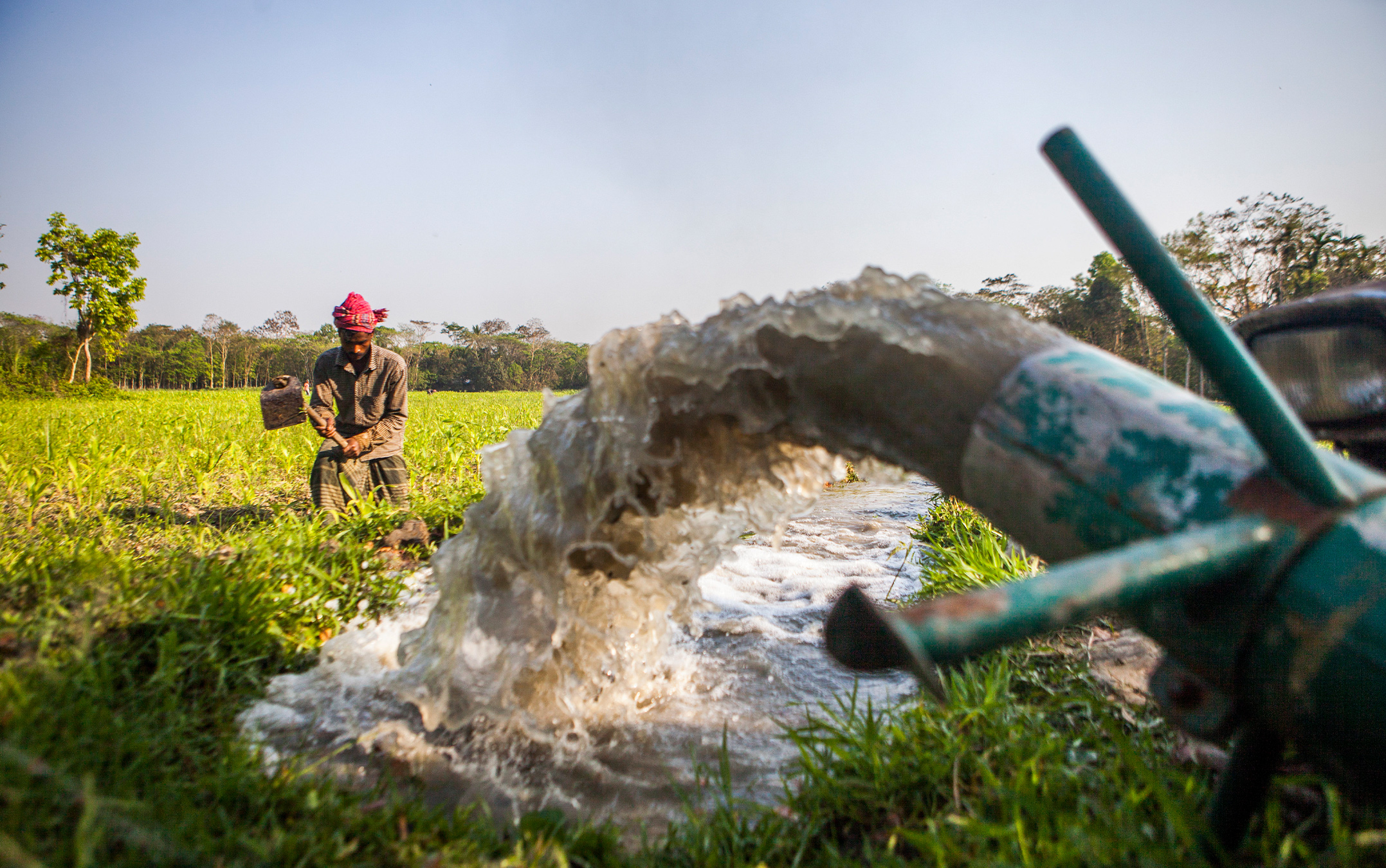 Bangladesh struggles to choose between food security & stable groundwater table