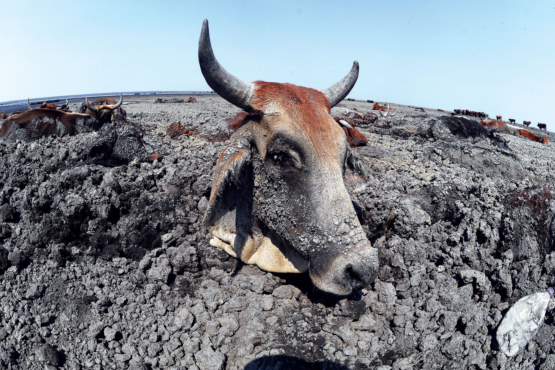 Botswana confronts rising heat and water stress as climate risks intensify