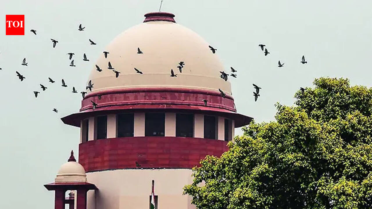 CBSE's 3-language scheme doesn't hit federalism, but will study infra constraints: Supreme Court | India News