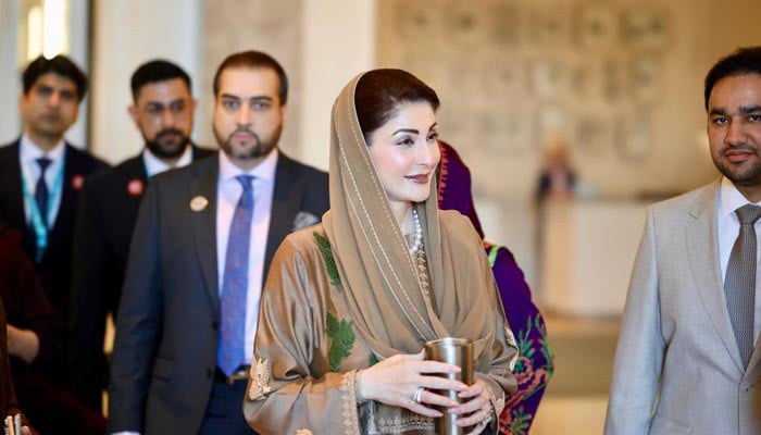 CM Maryam Nawaz underwent 'major surgery' at Lahore hospital: minister
