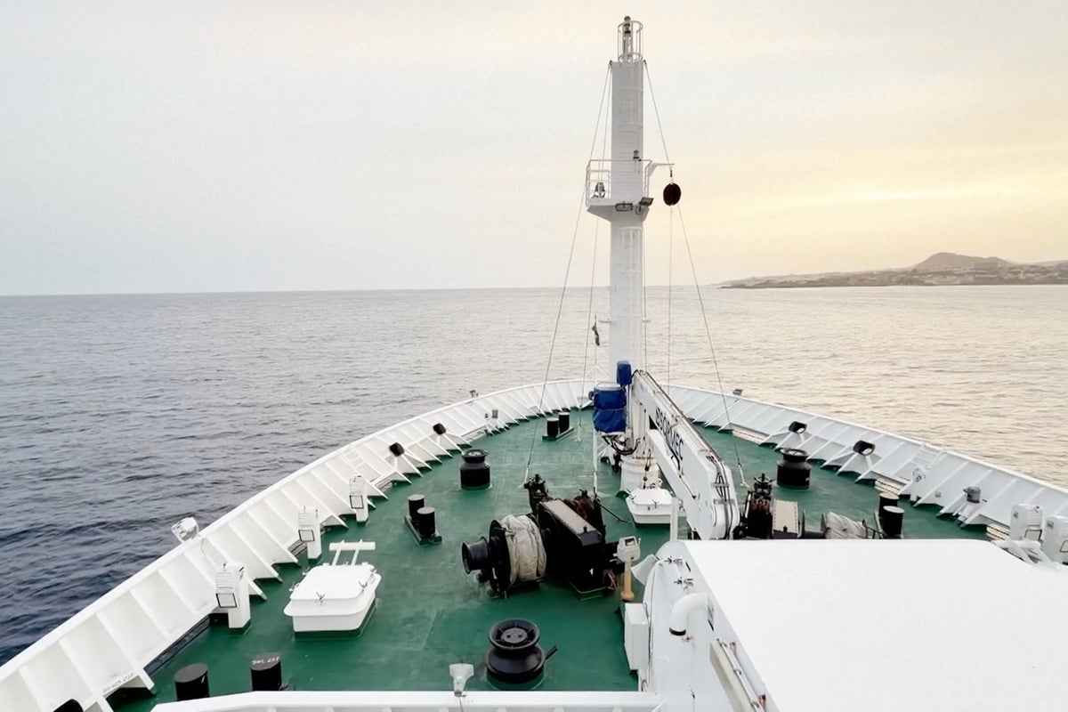 Demand for cruises appears undimmed despite hantavirus and other onboard outbreaks