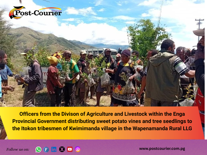 Distribution of sweet potato vines and tree seedlings to assist villagers