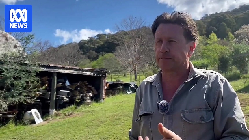 'Don't be a d**k, Dezi!' Porepunkah property owner makes new claims about Freeman incident