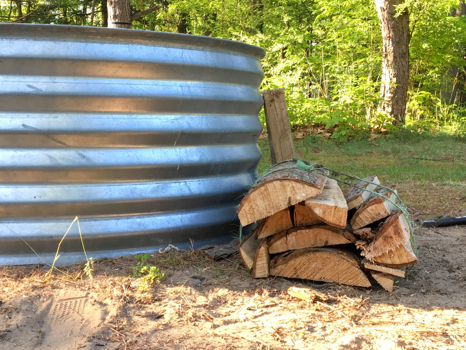 Don’t move firewood: Michigan camping safety tips