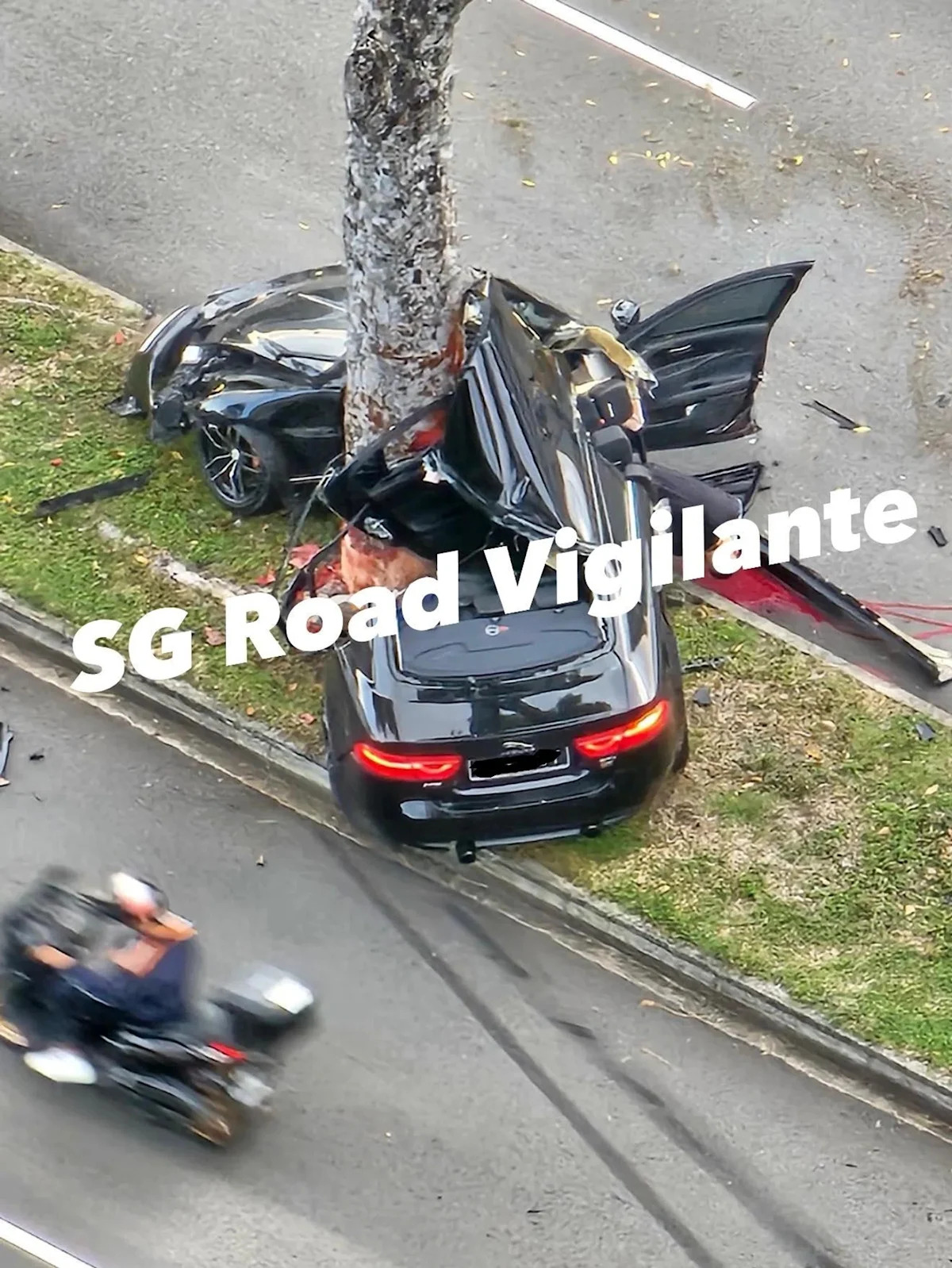 Driver dies after car crashes into tree in Clementi