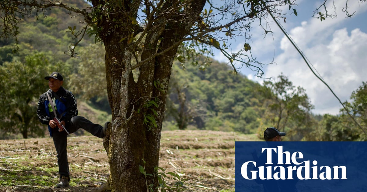 Drug gang attacks ‘force hundreds of Indigenous families to flee’ in Mexico | Mexico
