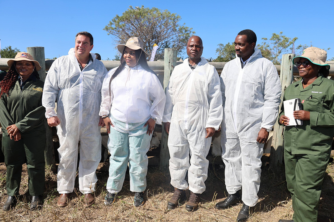 ESWATINI, SOUTH AFRICA, MOZAMBIQUE JOIN FORCES AGAINST FMD