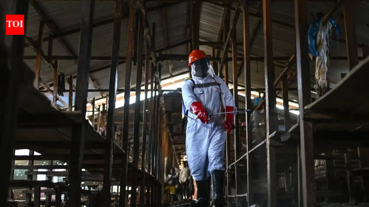 Ebola Outbreak in DRC: 867 Cases, 204 Deaths, and No Vaccine - Urgent Global Health Warning | World News