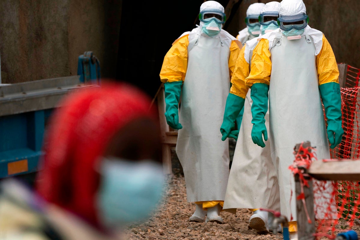 Ebola and hantavirus have Africa talking 'health sovereignty' as donor support fades