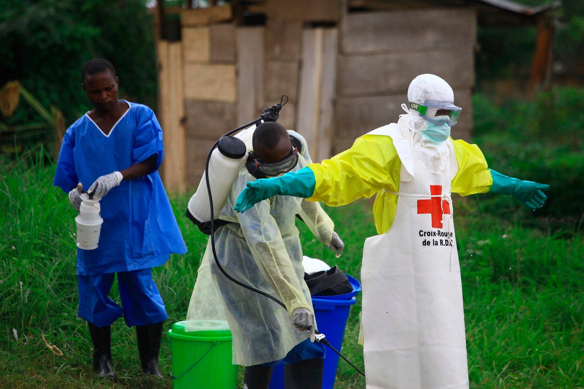 Ebola outbreak confirmed in the Congo with 65 deaths and hundreds of infections