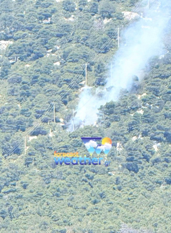 Evidence points at power cables in the forest