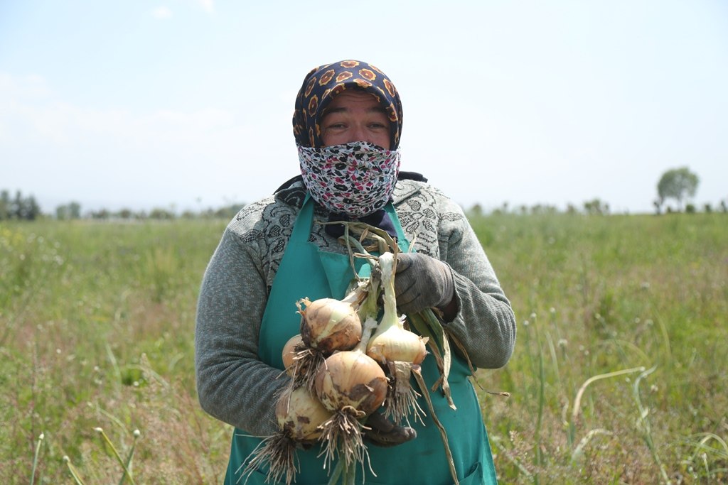 FAO conference in Dushanbe calls for expansion of women farmers' rights