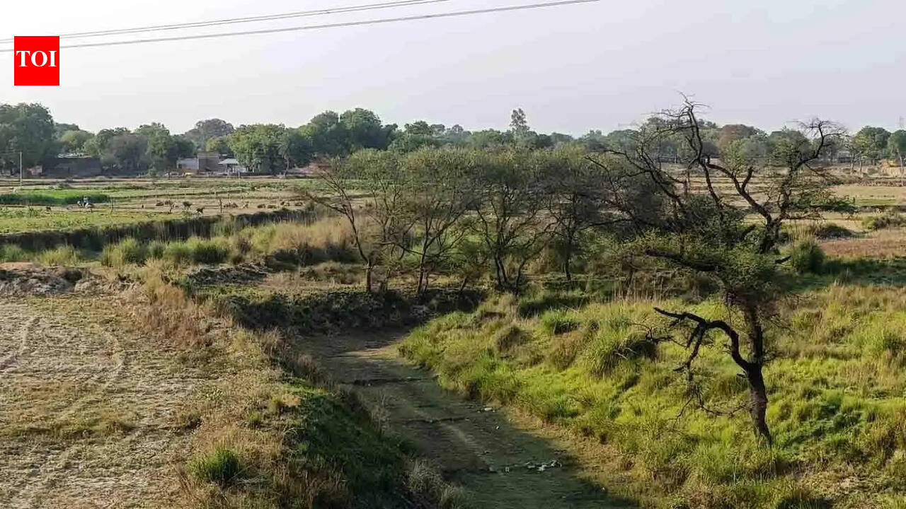 Govt to revitalize Kilanhai River in Kaushambi | Prayagraj News