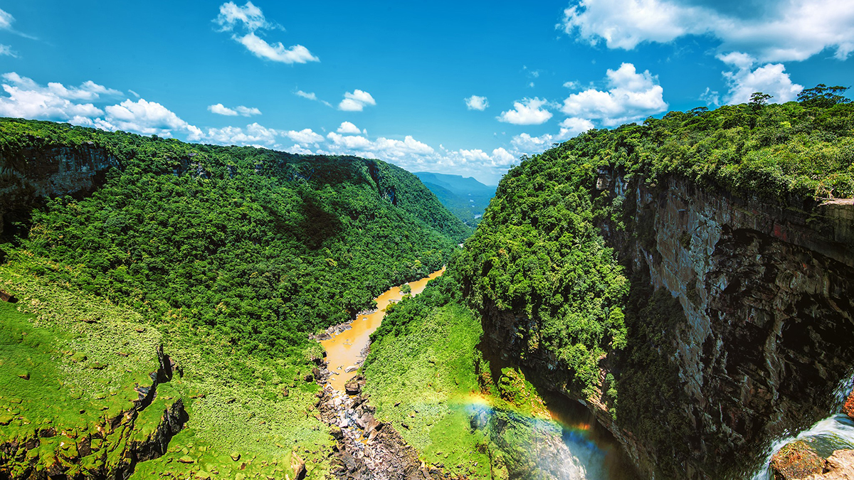 guyana biodiversity