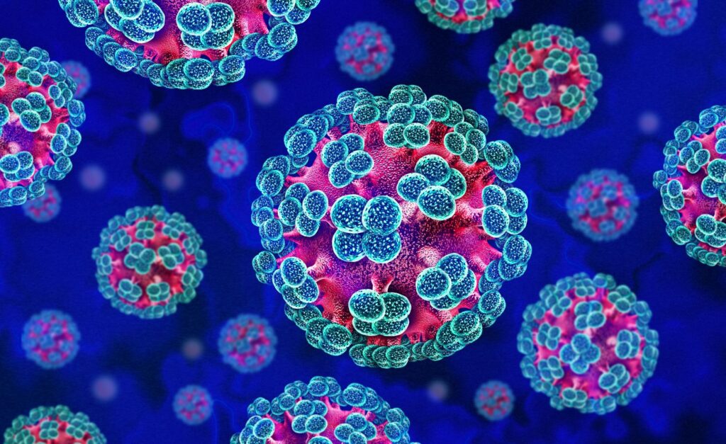 Hantavirus Outbreak: Why Doctors Say There Is No Need to Panic