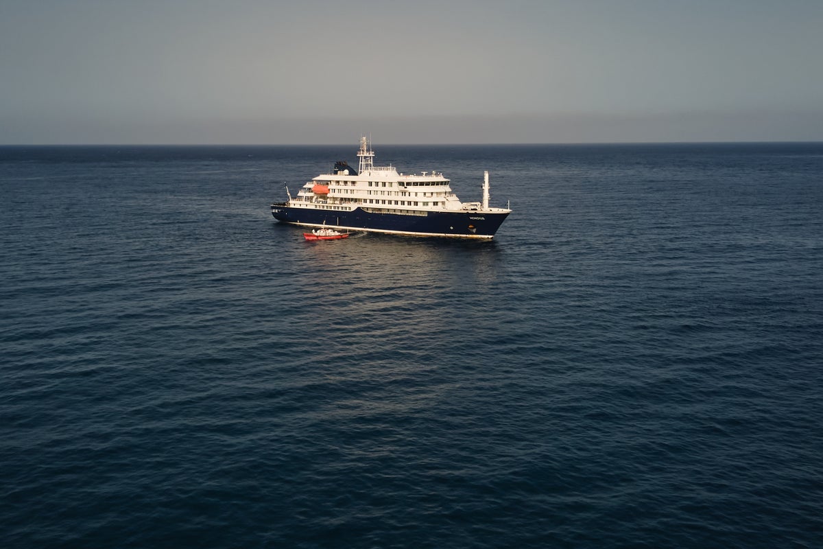 Hantavirus strain capable of human transmission found in cruise ship passengers