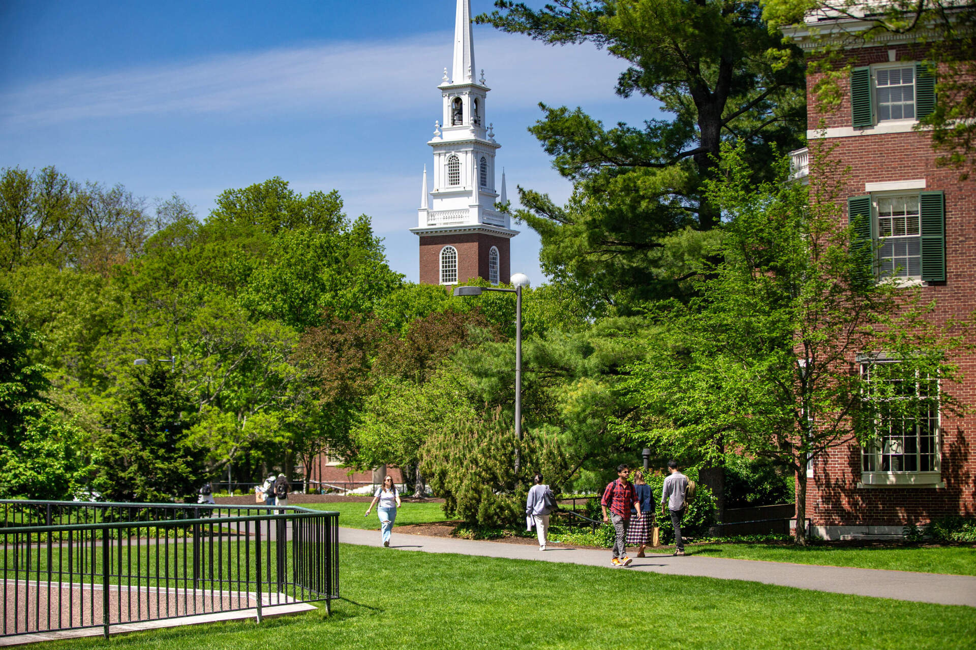 Students walk through Harvard Yard. (Jesse Costa/WBUR)