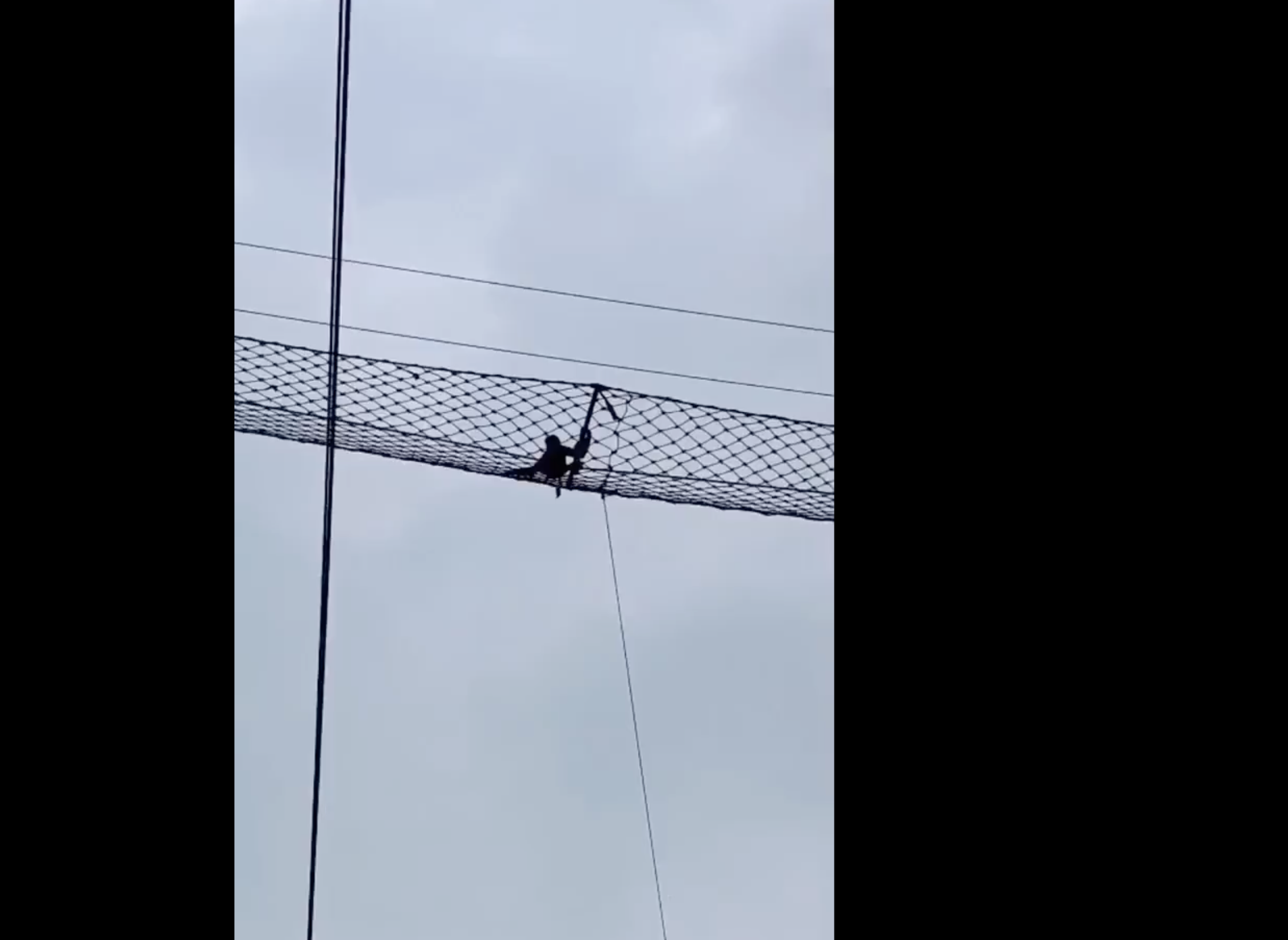 Hollongapar Sanctuary records first gibbon crossing on railway canopy bridge