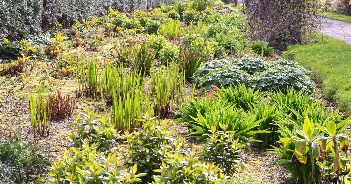 Homegrown NH: How to clean up your garden and protect pollinators