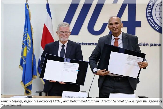 IICA - CIRAD renew strategic partnership to promote agroecological innovation and more sustainable agrifood systems in Latin America and the Caribbean