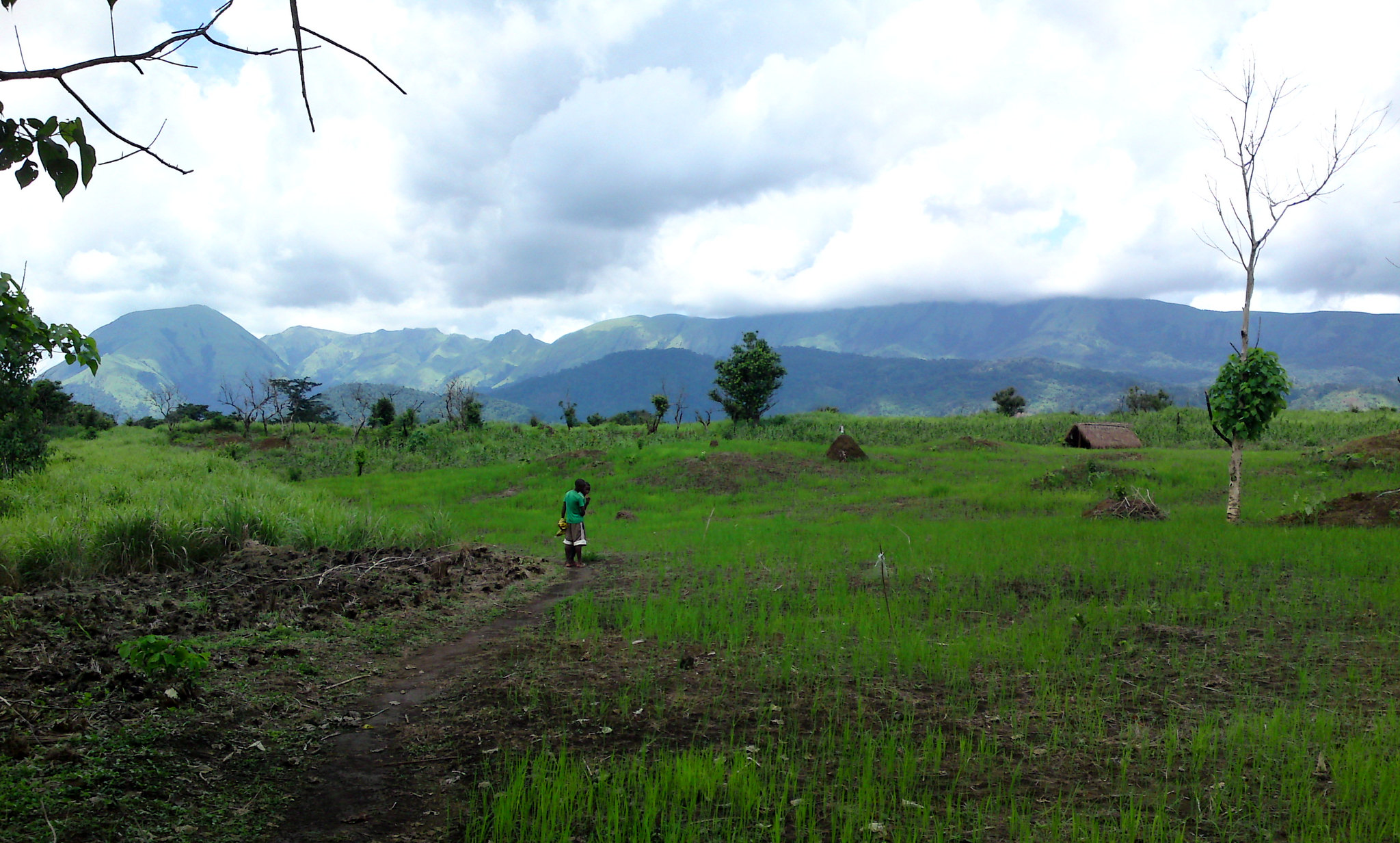 The Nimba mountain range as seen from southern Guinea. Image by Maarten van der Bent via Flickr (CC BY-SA 2.0).