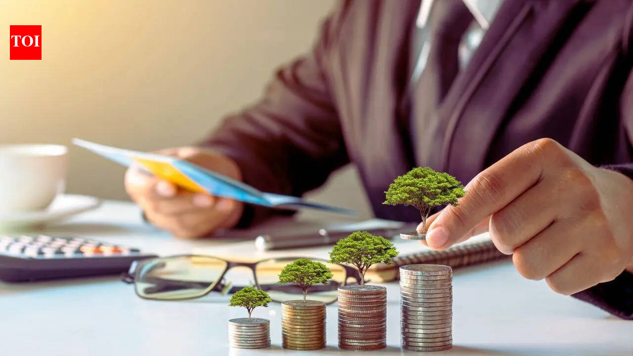 Is this the best time to buy a home? Expert shares reasons property might be more affordable in 2026 |