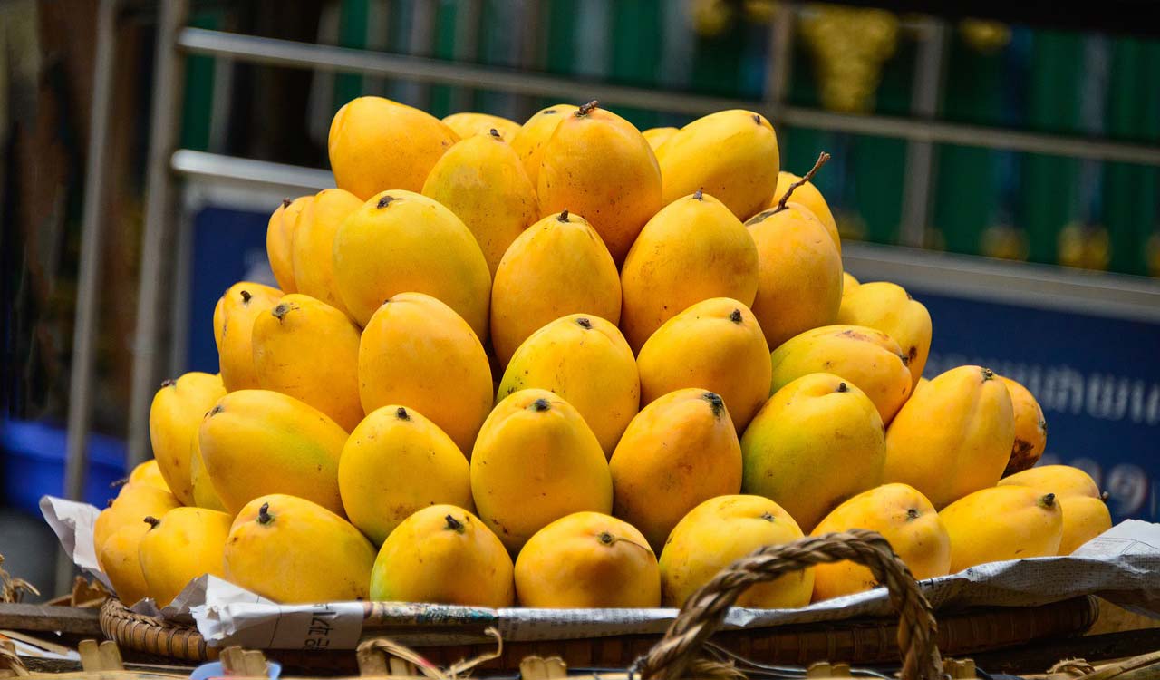 Israel, Iran war affects mango trading in Jagtial