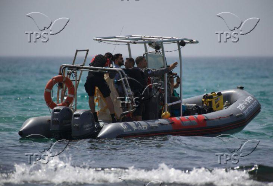 Israeli researchers detect industrial contaminants in Mediterranean sharks
