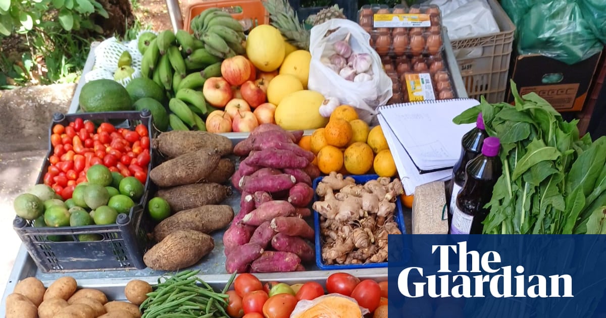 Just what the doctor ordered: Brazil’s drive to ditch UPFs from hospital menus | Global development