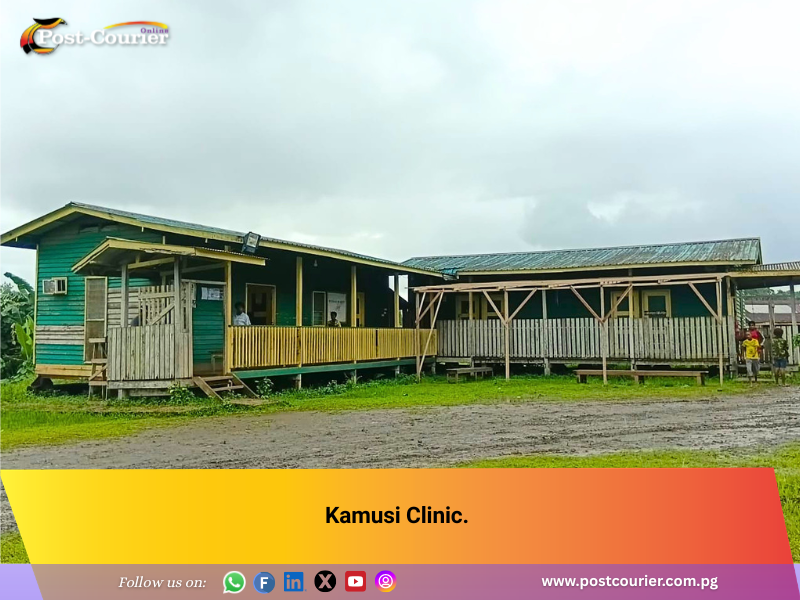 Kamusi Clinic faces resource challenges despite microplanning gains