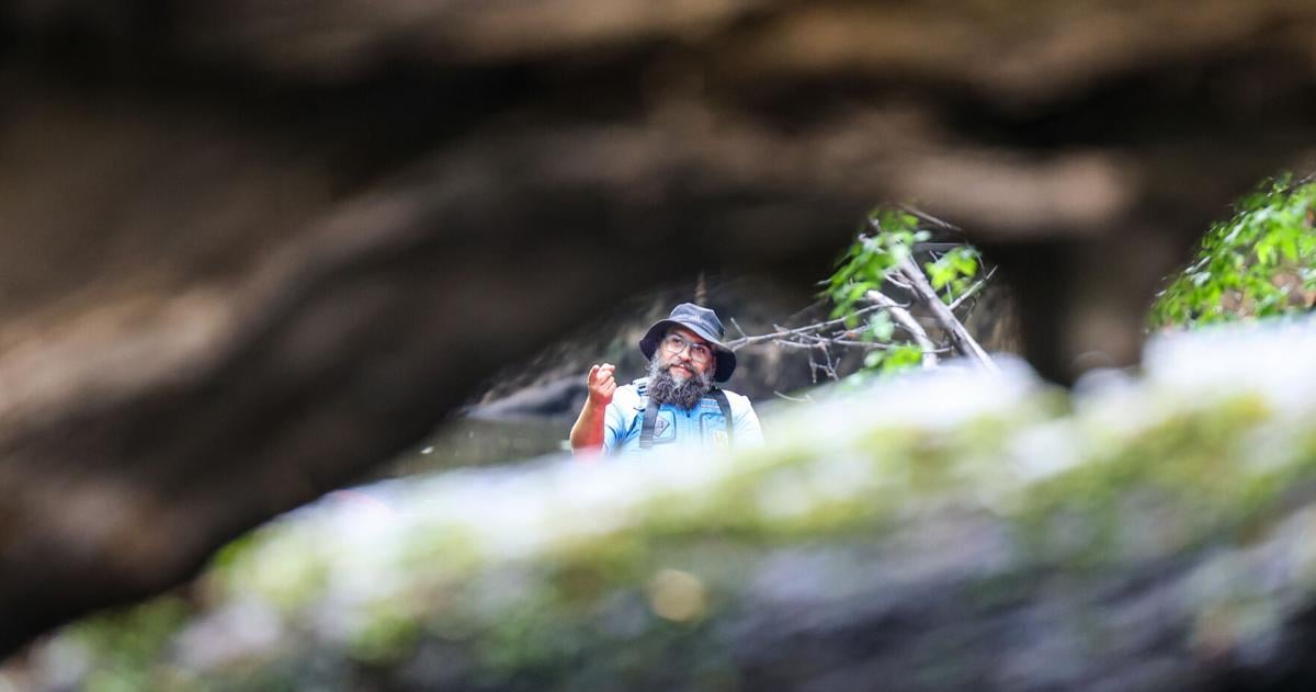 Kayak tours offer exploration of Congaree National Park from the water