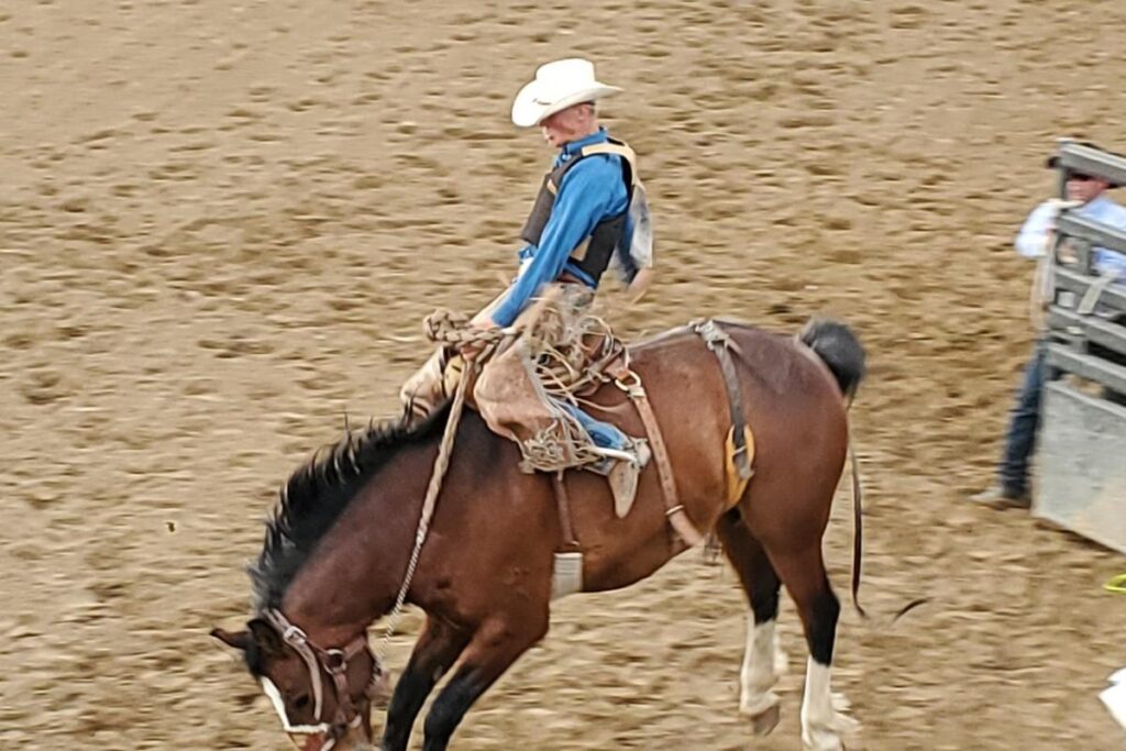 Kaycee’s 2026 Rodeo Schedule: Exciting Events Await – CONVEN.ORG | HOME