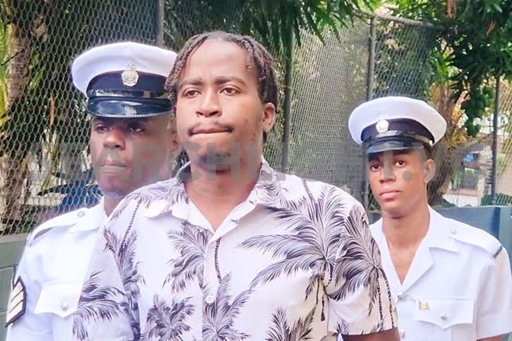Lawyer urges being selective in handing over illegal guns to the police