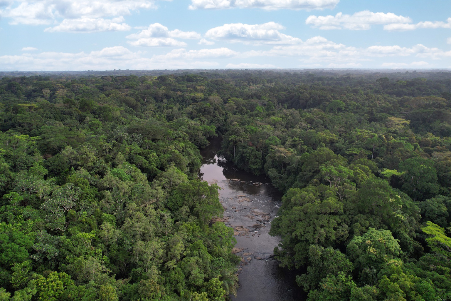 Liberia’s carbon market policy nears completion amid pushback