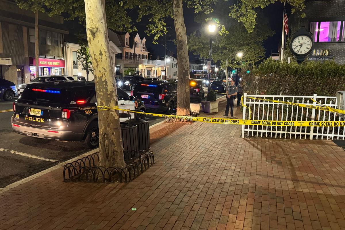 Library shooting rocks Freehold Borough