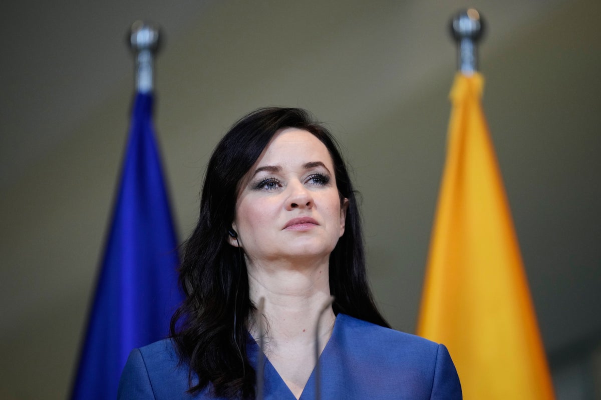 Lithuania suspects foreign involvement in data leak of over 600,000 national register entries