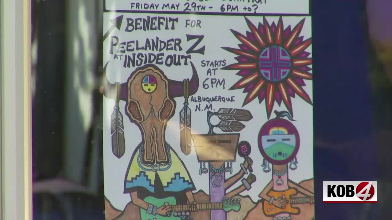 Local bands come together to help Peelander-Z after crash injuries