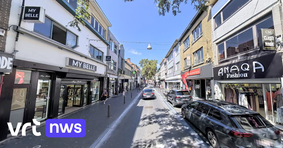 Man met bijl in Antwerpse winkelstraat door omstanders overmeesterd en gearresteerd