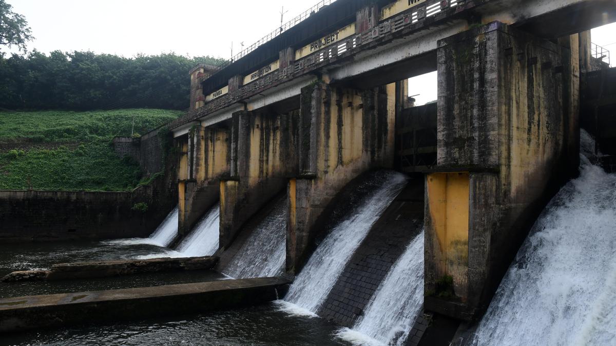 Maniyar hydel project: KSEB’s takeover bid put on hold