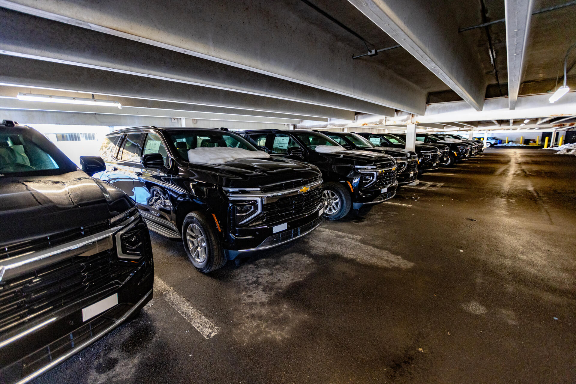 A row of SUVs believed to be owned by ICE parked in a Burlington garage in March. (Jesse Costa/WBUR)