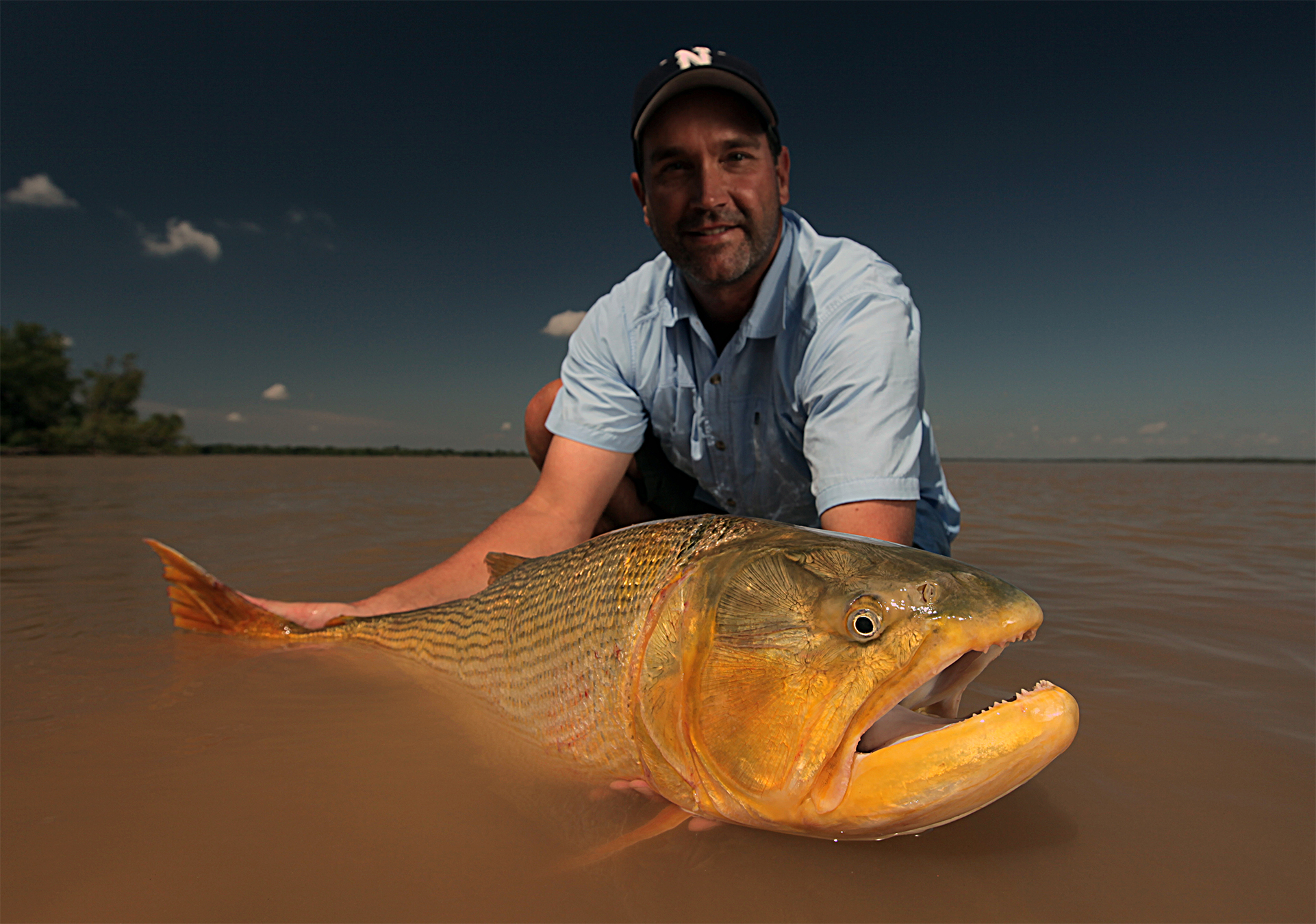 Migratory freshwater fish are in trouble: Will we act in time to save them?