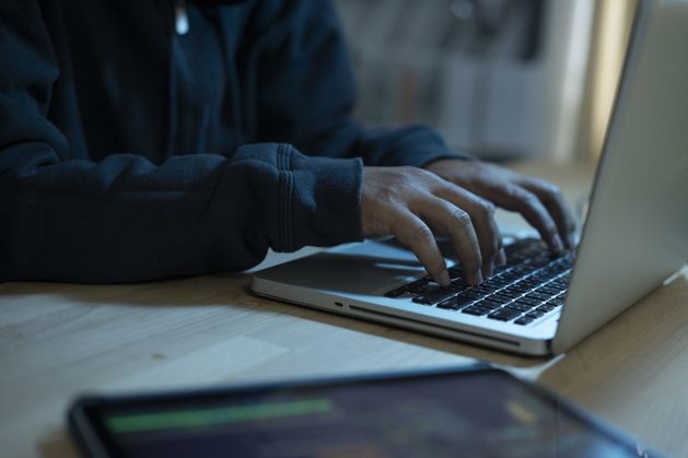 More than 200 fake websites targeted Irish residents with scams last year - Hotline report