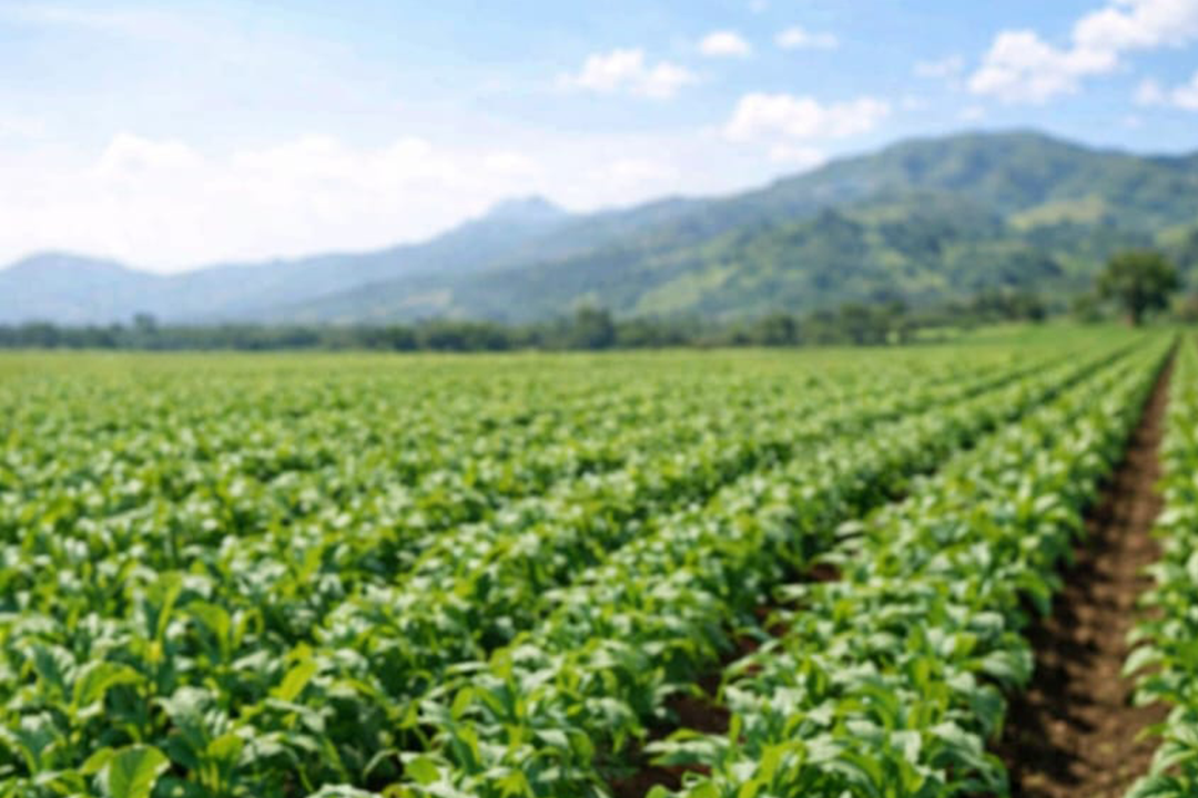NEW CLIMATE GUIDE OFFERS HOPE TO FARMERS
