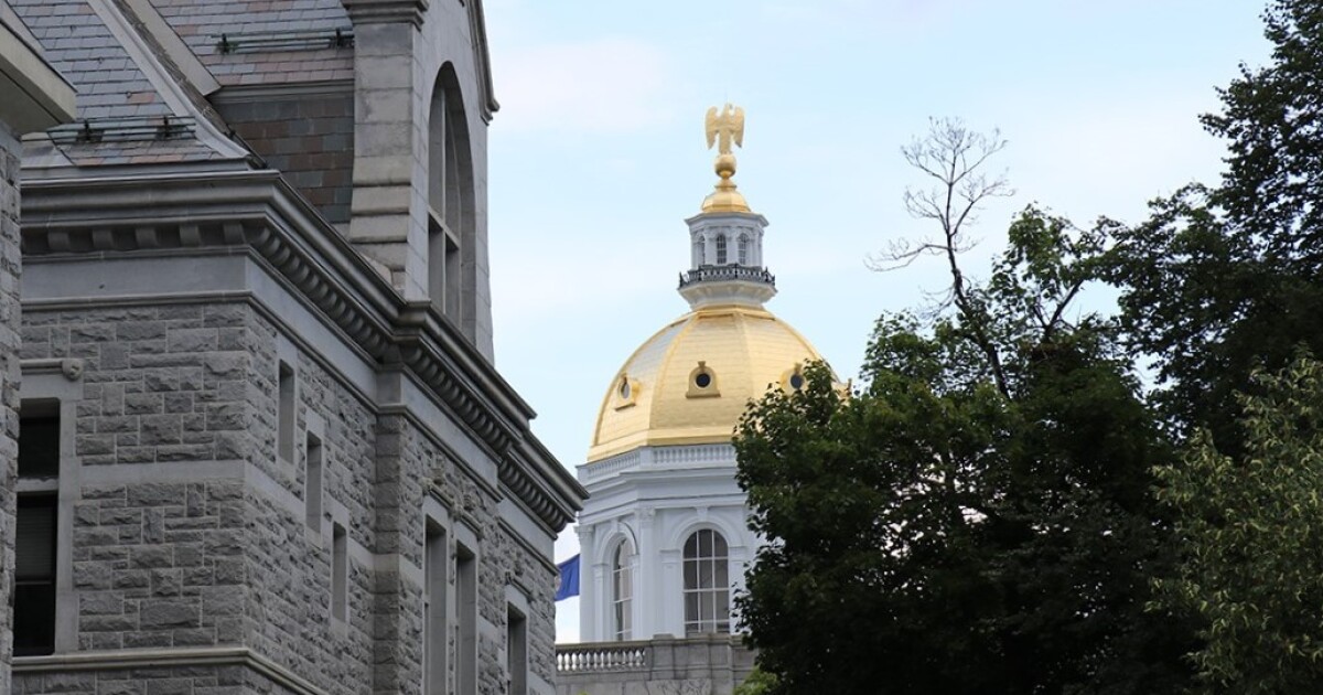 NH Senate backs allowing college faculty, but not students, to carry guns
