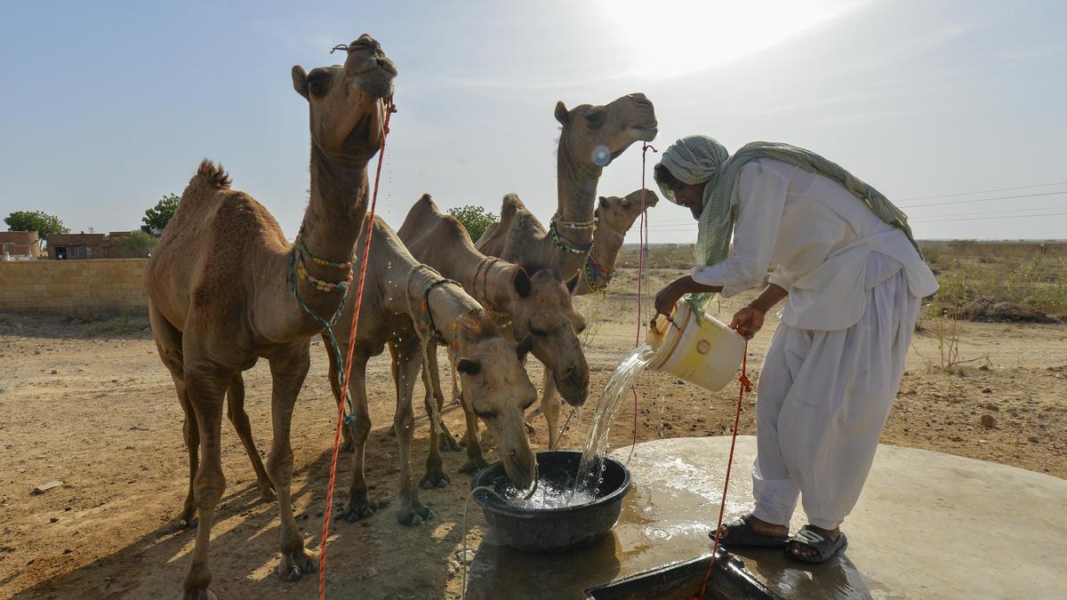 News in Frames | Bringing water to a scorching desert